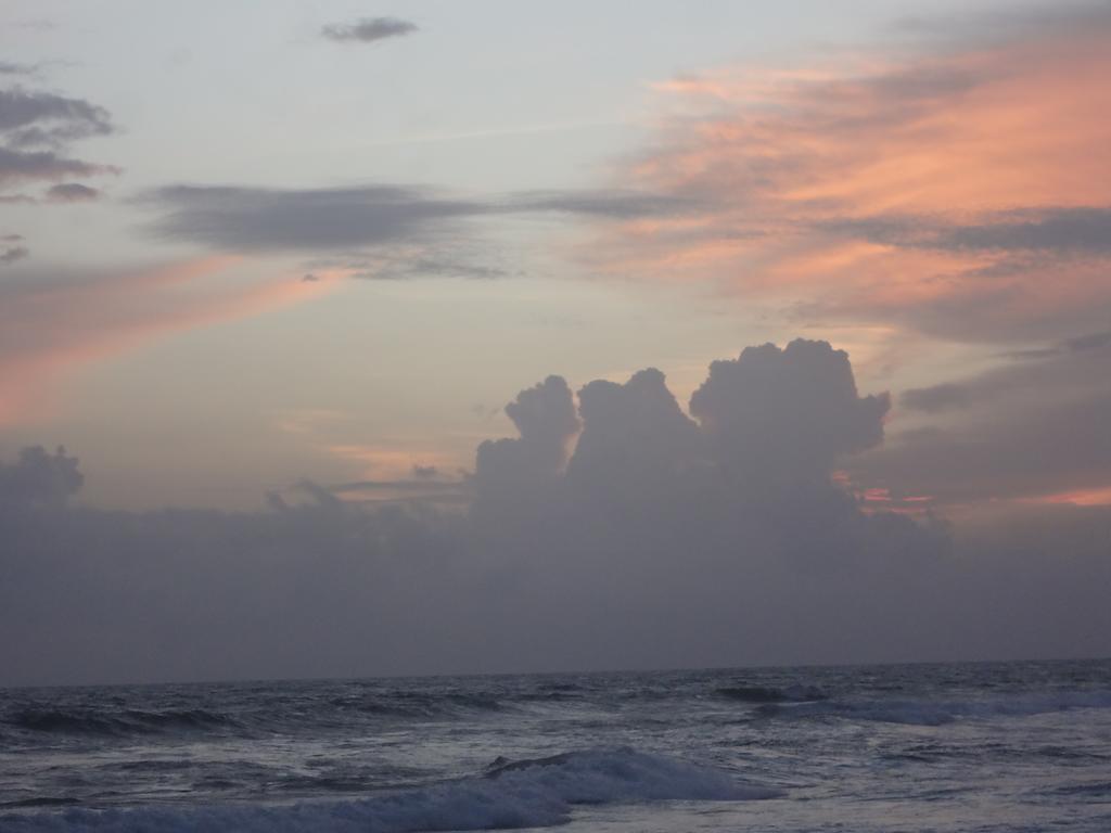 Ceylon Surf Guest And Restaurant Bed and Breakfast Weligama Buitenkant foto